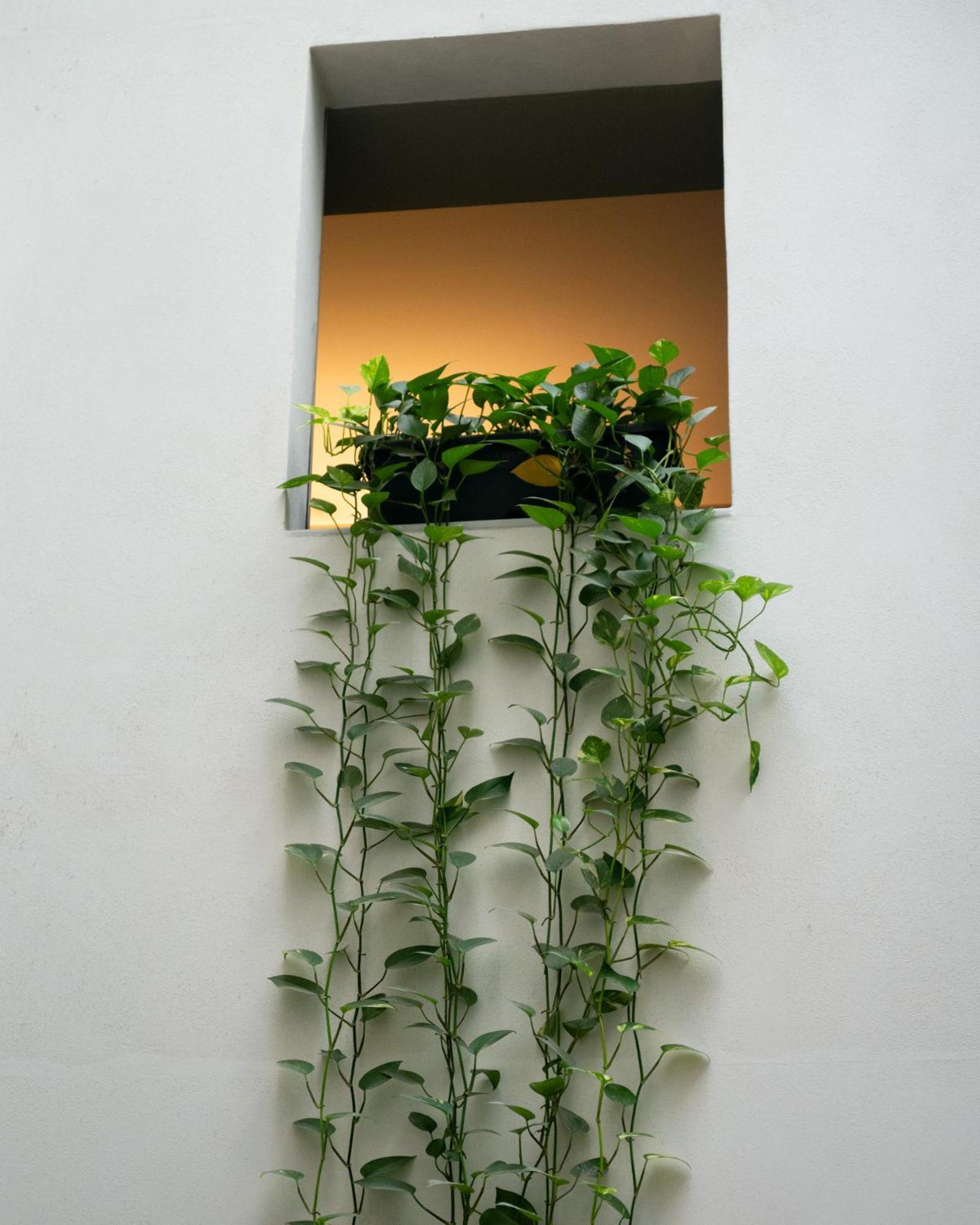 Hotel Ramblas Internacional Barcelona Exterior foto